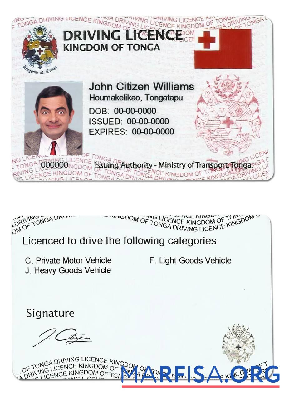 Blank Tonga driving license download for verification